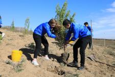 Tree planting campaign held in Azerbaijan's Shamakhi following Heydar Aliyev Foundation's initiative (PHOTO/VIDEO)