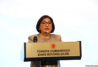 Решительная позиция Турции показала, что Азербайджан не одинок в борьбе за правое дело – Сахиба Гафарова