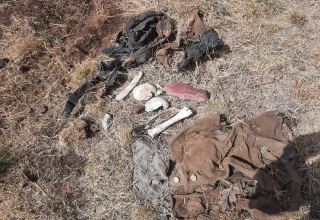 На территории села Заллар Кяльбаджарского района обнаружены человеческие останки