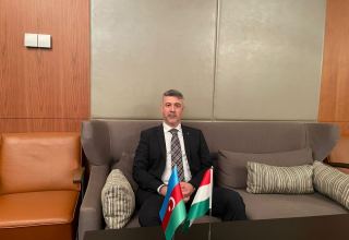 Венгерские компании начали переговоры по импорту азербайджанского газа – посол Тамаш Торма (Эксклюзивное интервью) (ФОТО)