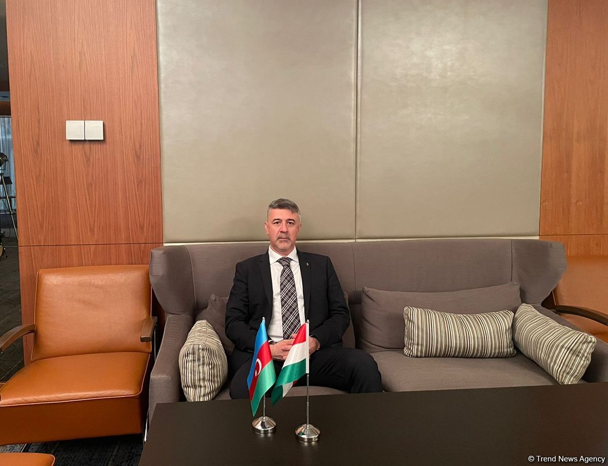 Hungarian companies start negotiations on gas imports from Azerbaijan - Ambassador (Interview) (PHOTO)