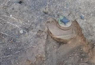 В Агдаме обнаружена мина-ловушка из четырех мин (ФОТО)