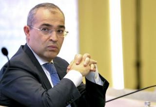 Azerbaijan Entrepreneurship Dev't Fund allocates concessional loan to stimulate domestic production - minister