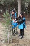 Вице-президент Фонда Гейдара Алиева Лейла Алиева приняла участие в первой акции по посадке деревьев к осеннему сезону «Общереспубликанского озеленительного марафона» (ФОТО)