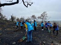 В Азербайджане проведена очередная акция в рамках кампании «От пожаров к озеленению» по восстановлению лесов (ФОТО)