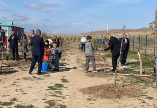 В День Победы в селе Агалы Зангиланского района посадили фруктовые деревья (ФОТО)