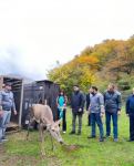 С участием вице-президента Фонда Гейдара Алиева Лейлы Алиевой в Исмаиллинском отделении Шахдагского национального парка состоялась церемония выпуска в дикую природу первых благородных оленей (ФОТО/ВИДЕО)