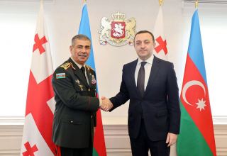 Azerbaijani defense minister meets with Georgian PM (PHOTO)