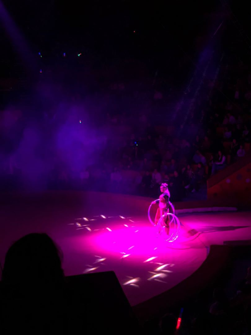 Чудеса эквилибристики, магия, сложные трюки – как проходит представление "Международный цирк: Победители фестиваля" в Баку (ФОТО)