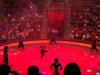 Чудеса эквилибристики, магия, сложные трюки – как проходит представление "Международный цирк: Победители фестиваля" в Баку (ФОТО)