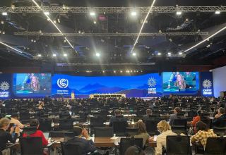 27-я Конференция Сторон Рамочной Конвенции по Изменению Климата продолжает свою работу (ФОТО)
