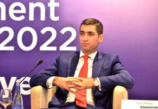 CEO of Azerbaijan's investment company talks attractiveness of cryptocurrency
