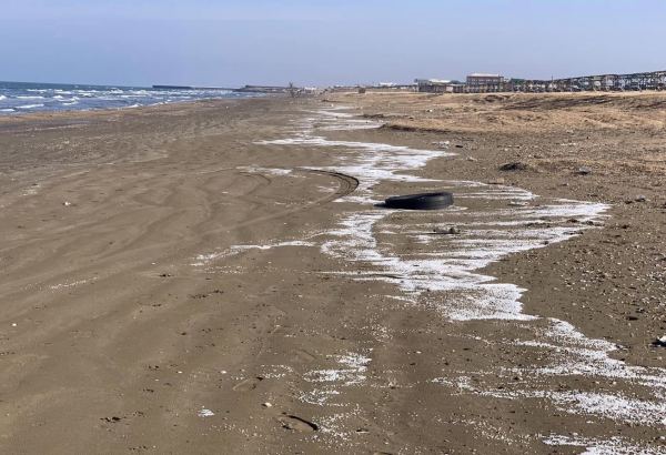 Dəniz sahilində çoxlu sayda plastik hissəcik aşkarlanıb (FOTO)