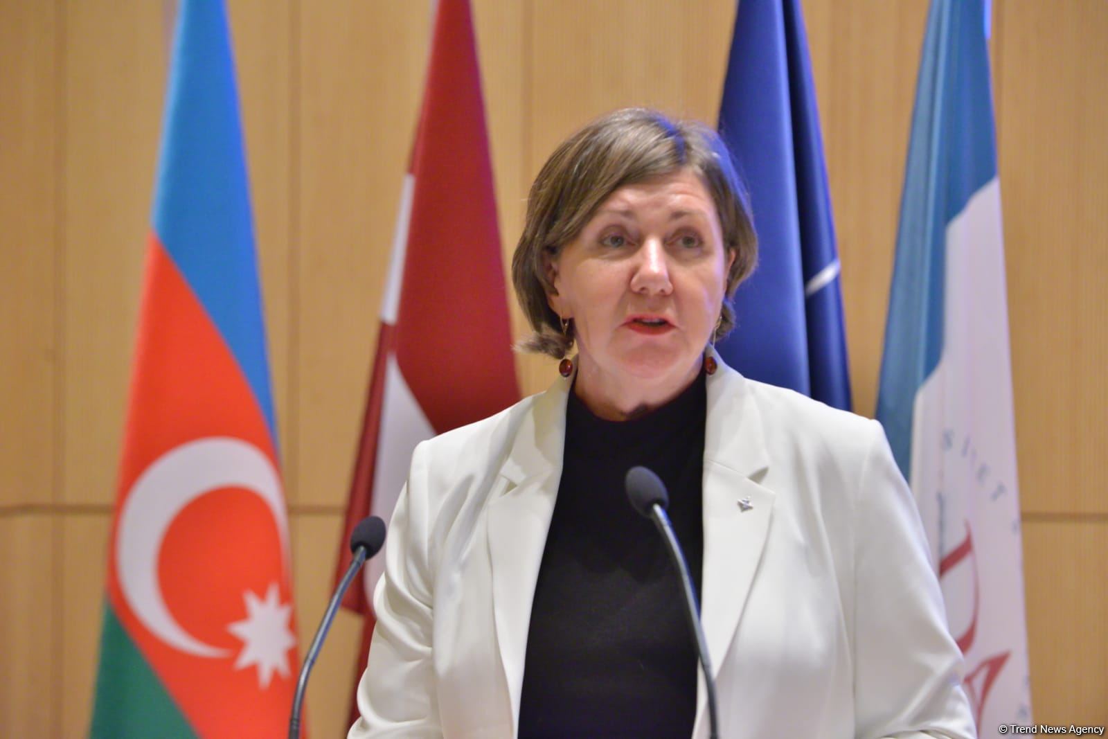 Azerbaijan is NATO's close partner - Assistant Secretary General (PHOTO)
