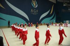 Training for First 'Ojag' International Rhythmic Gymnastics Cup being held in Baku (PHOTO)