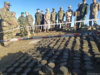 Number of anti-personnel mines discovered in Azerbaijan's Sarybaba direction (PHOTO)