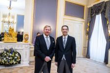 Посол Азербайджана вручил верительные грамоты Королю Нидерландов (ФОТО)