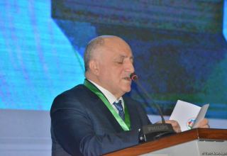 Share of SMEs in Azerbaijani GDP annually grows - National Confederation of Entrepreneurs