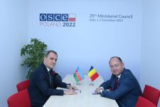 Джейхун Байрамов встретился с министром иностранных дел Румынии (ФОТО)