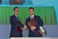Агентства по развитию МСП Азербайджана и Болгарии подписали меморандум о взаимопонимании (ФОТО)