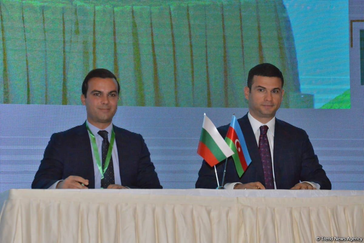 Azərbaycanla Bolqarıstan arasında memorandum imzalandı (FOTO)