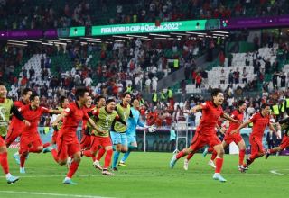 Сборная Южной Кореи вышла в плей-офф чемпионата мира по футболу (ВИДЕО)