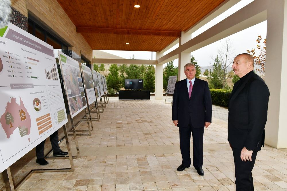 Президент Ильхам Алиев ознакомился с условиями, созданными в агропарке «Шеки-Огуз» (ФОТО/ВИДЕО)