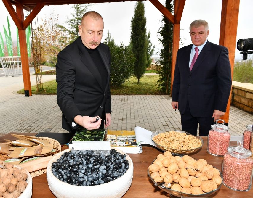 Президент Ильхам Алиев ознакомился с условиями, созданными в агропарке «Шеки-Огуз» (ФОТО/ВИДЕО)