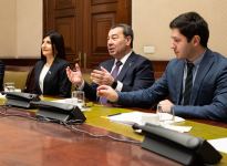 Azerbaijani MPs hold meetings in Spain (PHOTO)