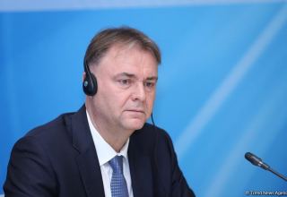 EU, Council of Europe implementing number of projects in Azerbaijan - official