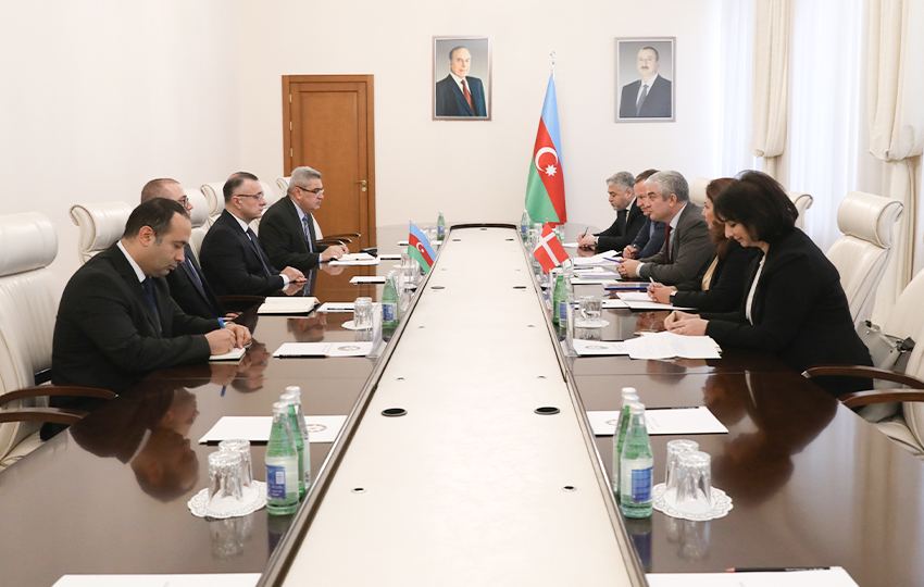 В Минздраве Азербайджана состоялась встреча с делегацией во главе с послом Дании
