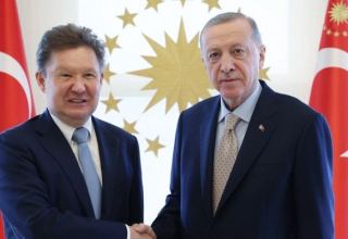 Эрдоган принял главу "Газпрома"