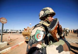 Algerian military kills 3 terrorists in northern mountain