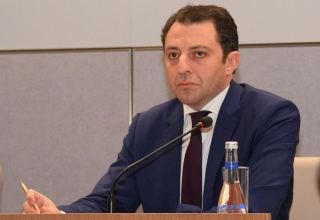 Azerbaijan committed to promote peace process with Armenia – deputy FM