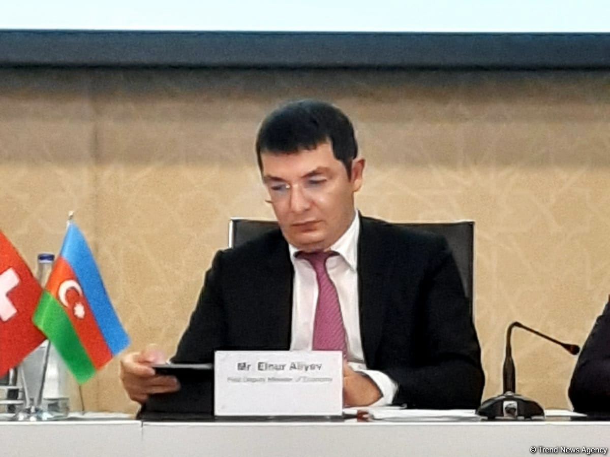 Стратегия цифровой экономики Азербайджана будет сконцентрирована на двух основных блоках - замминистра