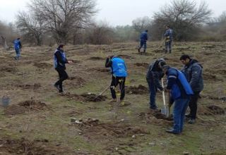 Tree planting campaign held in Azerbaijan’s Zangilan (PHOTO)