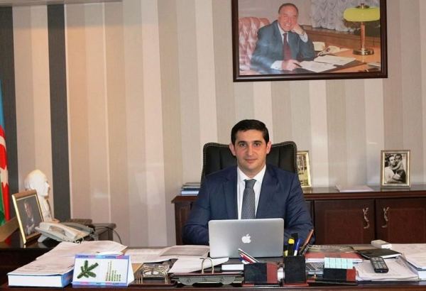 Study of cybersecurity fundamentals should be included in Azerbaijan's education system - official