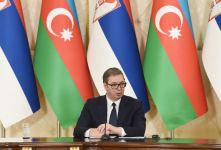 Azerbaijani, Serbian presidents make press statements (PHOTO)