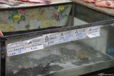 Цены на продукцию на ярмарках ”Из села в город" в Баку и на Абшероне (ФОТО)