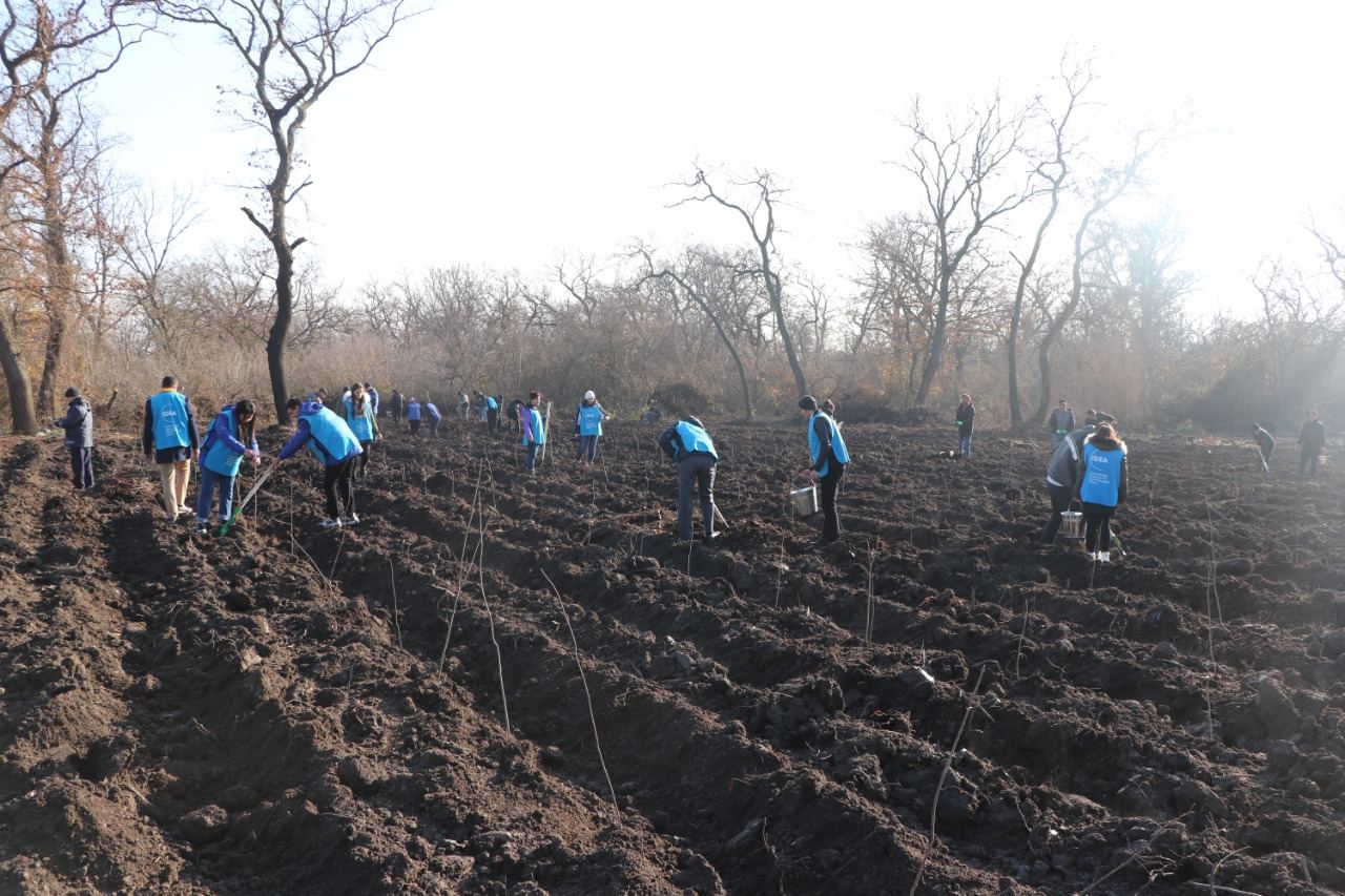 В рамках кампании «От пожаров к озеленению» прошла акция по посадке деревьев (ФОТО)