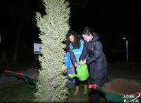При участии вице-президента Фонда Гейдара Алиева Лейлы Алиевой проводится регистрация и нумерация деревьев в Баку (ФОТО)