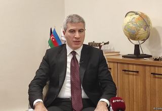 В Азербайджане будет создана новая база данных в сфере занятости (ФОТО/ВИДЕО) (Интервью)