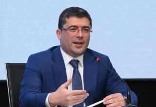 Azerbaijan's media entities not included in register to be held accountable - official