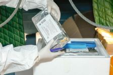 Агентство Азербайджана провело вакцинацию диких животных от бешенства (ФОТО)