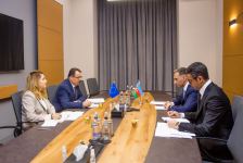 Азербайджан и ЕС обсудили подготовку ИТ-специалистов (ФОТО)