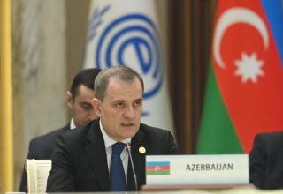 Azerbaijani FM speaks at meeting of Council of Ministers of ECO (PHOTO)