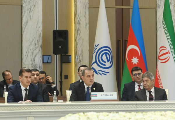 ECO Tashkent Communiqué expresses support for Azerbaijan's territorial integrity (PHOTO)