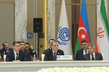 В Ташкентском коммюнике ОЭС выражена поддержка территориальной целостности Азербайджана (ФОТО)