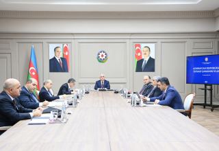 Economic Council of Azerbaijan holds first 2023 session (PHOTO)