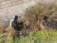 В бакинском поселке найдено 8 ручных гранат (ФОТО/ВИДЕО)